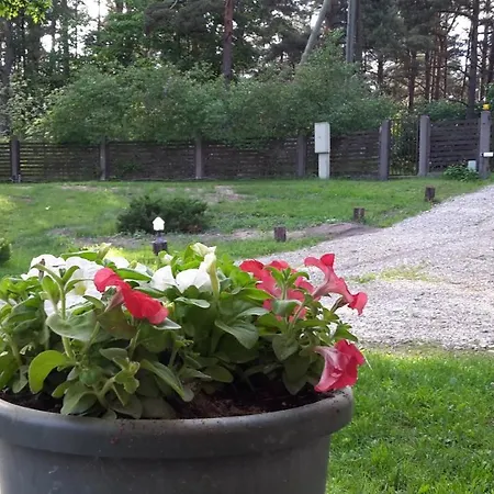 Forest Edge House * Riga