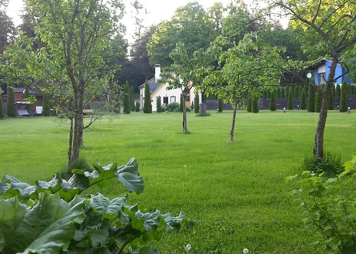 Forest Edge House * 里加