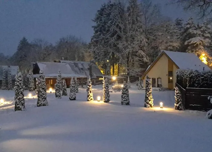 Forest Edge House 度假居