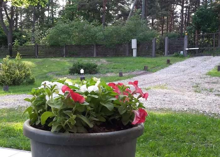 Forest Edge House * 里加