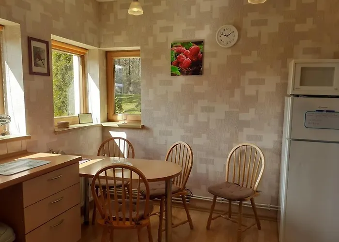 度假居 Forest Edge House *