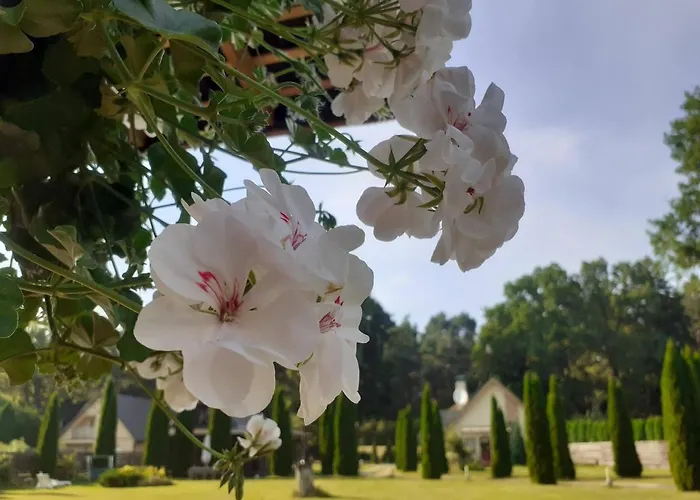 Forest Edge House * Riga