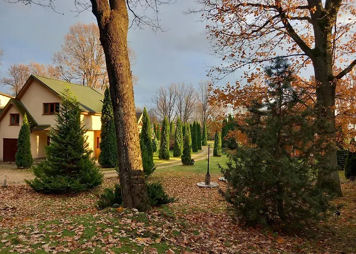 Forest Edge House 里加