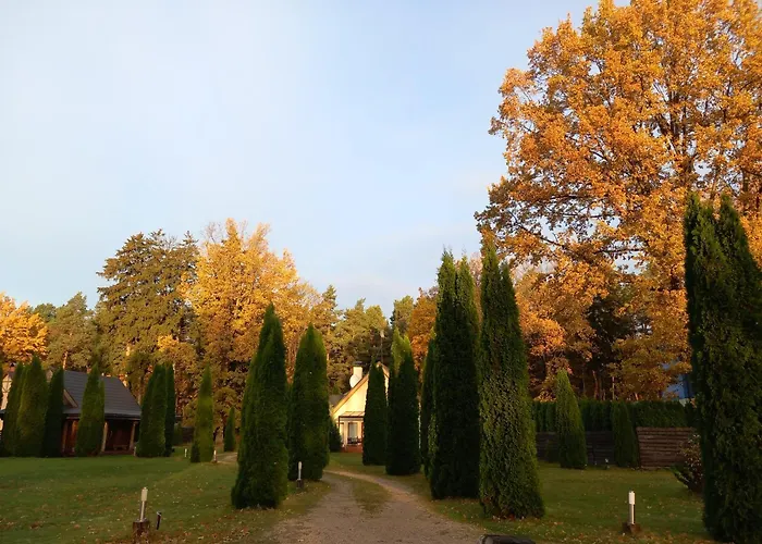 Forest Edge House 里加