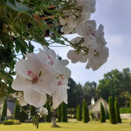 Forest Edge House * Riga