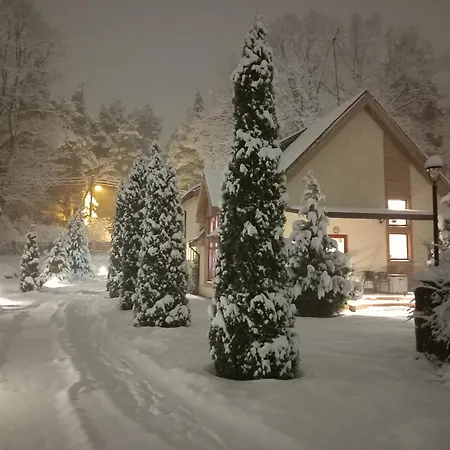 Forest Edge House